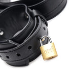 Frog-tie Restraint Set: A secure padlock with an extra padlock for maximum tie restraint