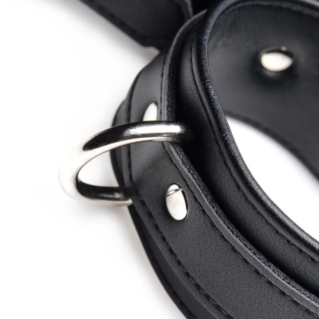 Black leather collar with silver hardware from Frog-tie Restraint Set complete view