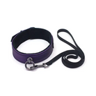 Galaxy Legend Collar & Leash Purple - Collar