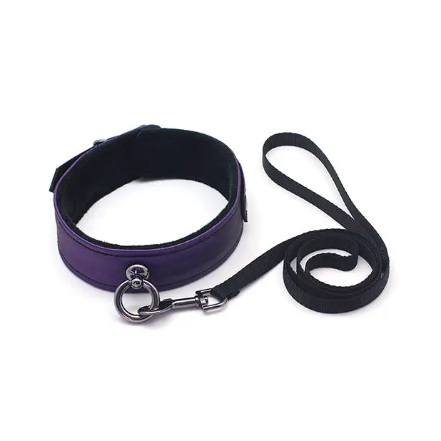 Galaxy Legend Collar & Leash Purple - Collar