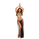 Gypsy Dancer Dmd: Belly dancer in gold bikini and sheer black skirt, striking pose