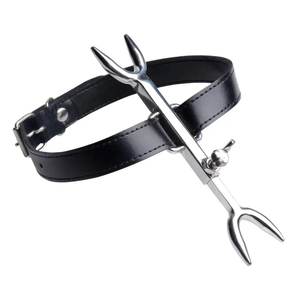 Black leather posture collar with an attached metal prong-like implement - Heretics Fork