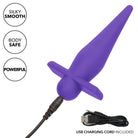 High Intensity Probe Purple Rechargeable - Powered Butt Plug