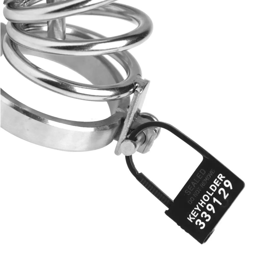 Master Series Lock Keyholder 10 Pack Numbered Plastic Chastity Locks at the Haus of Shag