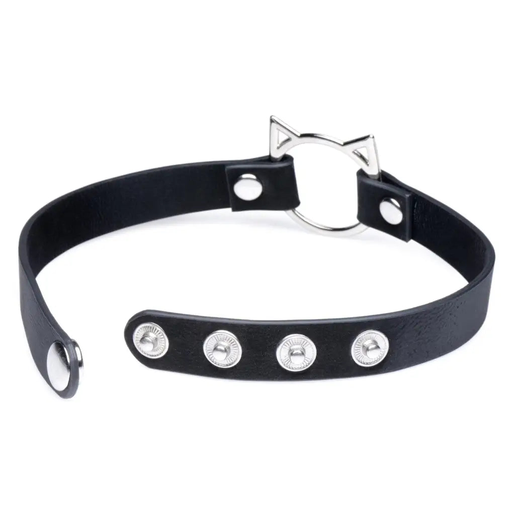 Master Series Collar Kinky Kitty Ring Slim Choker at the Haus of Shag