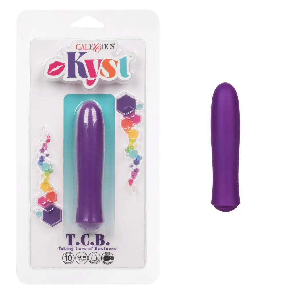 Kyst Taking Care Of Business - Purple - Bullet Vibrator