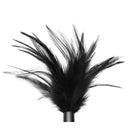 Greygasms Tickler Le Plume Feather Tickler - Black at the Haus of Shag