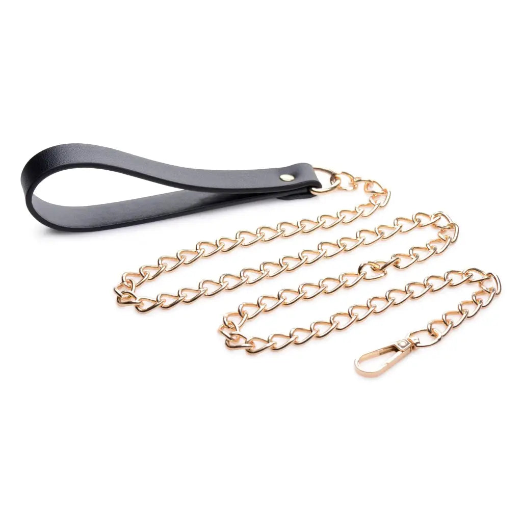 Master Series Leash Leashed Lover Black And Gold Chain Leash at the Haus of Shag