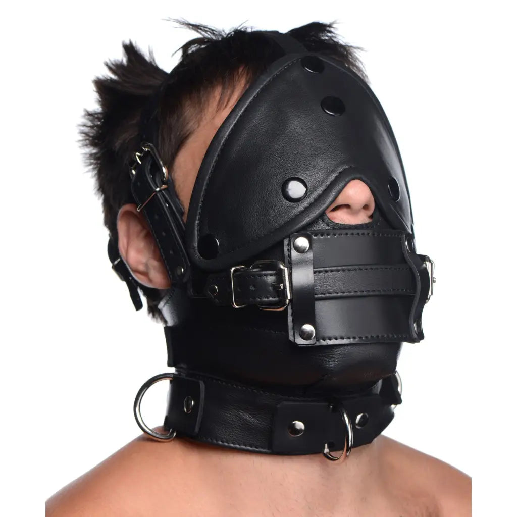 Experience Ultimate Control with our Leather Head Harness - Turn up the  heat with this BDSM essential! – The Haus of Shag