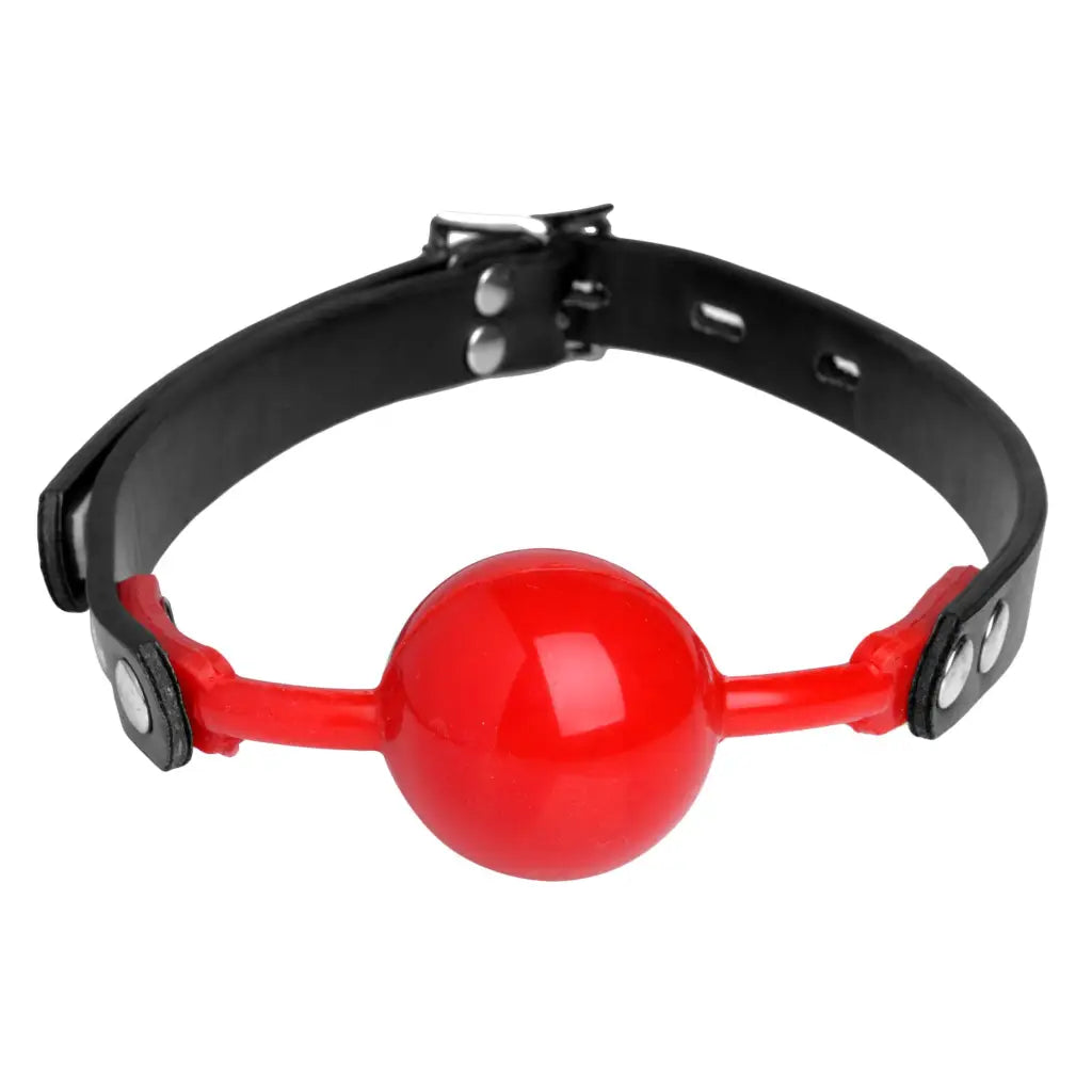 Master Series Bondage Kit Little Piggy Hog Tie Kit With Comfort Ball Gag at the Haus of Shag