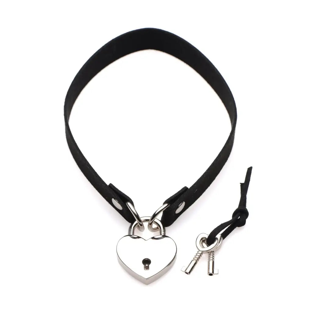 Master Series Collar Lock-it Heart Choker at the Haus of Shag