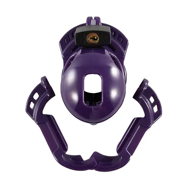 Purple helmet with metal clasp from Locked In Lust’s Vice Mini V2 for secure pleasure