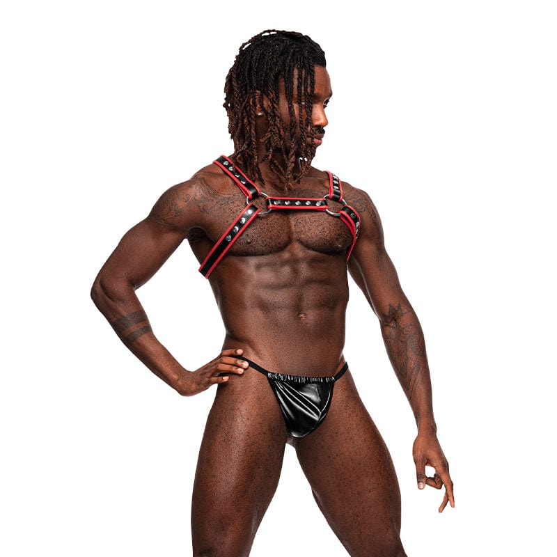 Male Power Harness Leo Leather Harness Black/red O/s at the Haus of Shag