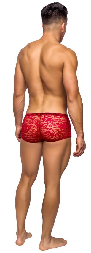 Male Power Shorts Mini Short Stretch Lace at the Haus of Shag