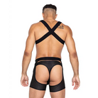 Master Harness W/hook & Ring Closure Black - Harness