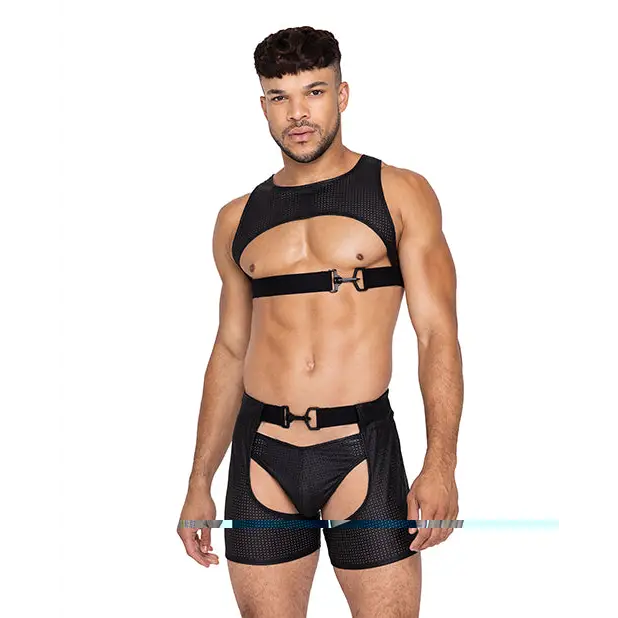 Master Harness W/hook & Ring Closure Black - Small - Harness