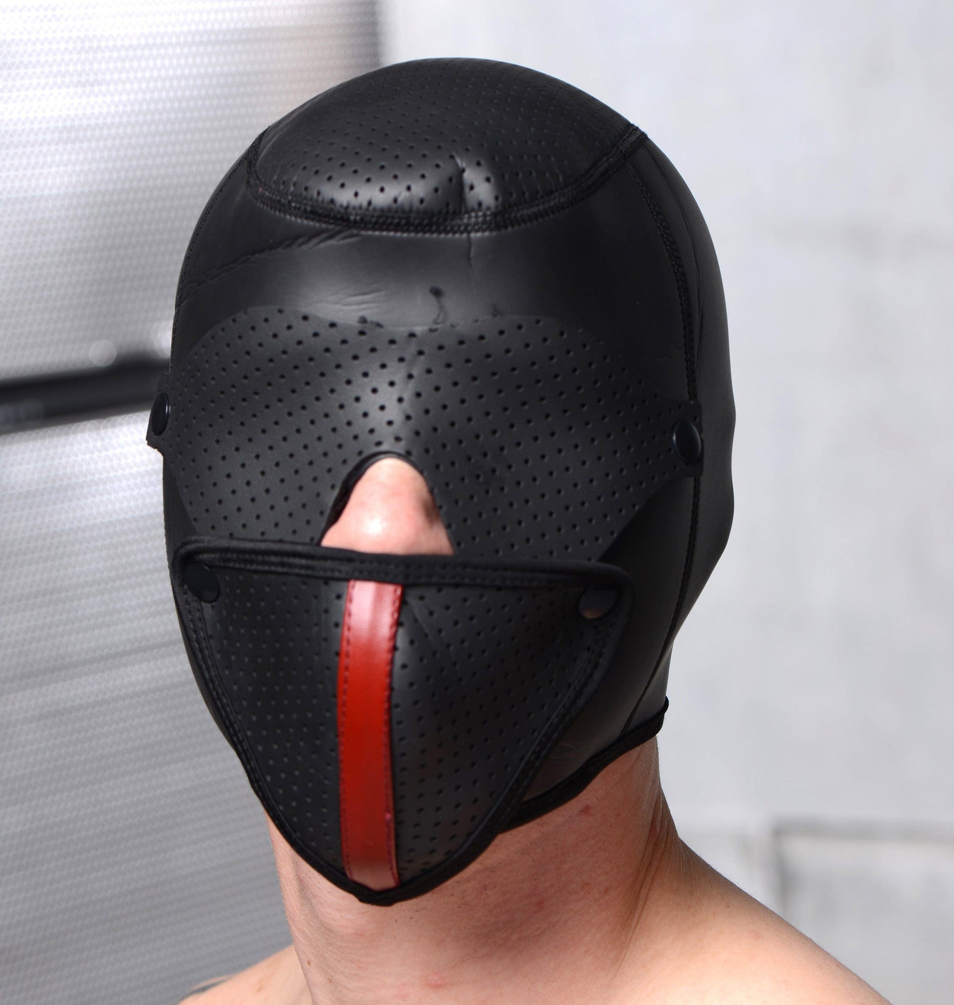 Scorpion Hood with Removable Blindfold and Face Mask – FB Boutique