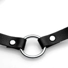 Master Series Collar One Size Fits Most / Black Master Series Lush Pet Silver Ring Slim Choker at the Haus of Shag