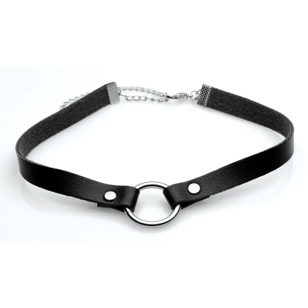 Master Series Collar One Size Fits Most / Black Master Series Lush Pet Silver Ring Slim Choker at the Haus of Shag