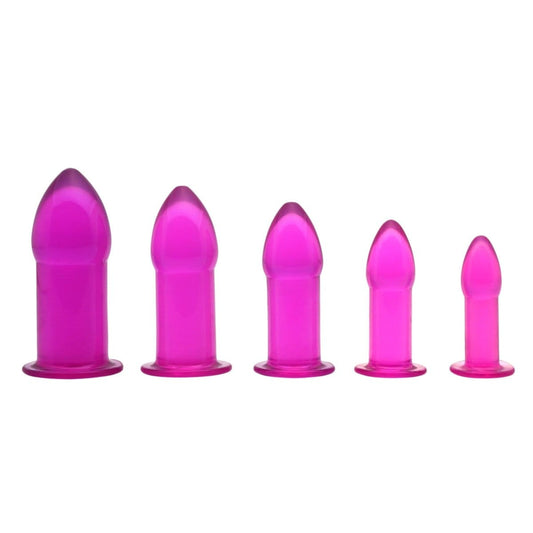 Master Series New-products Purple 5 Piece Anal Trainer Set at the Haus of Shag
