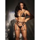 Mesh Top W/adjustable Coverage Garter Belt & Thong Black - Lingerie Set