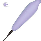 CalExotics Vibrator Miracle Massager Rechargeable at the Haus of Shag