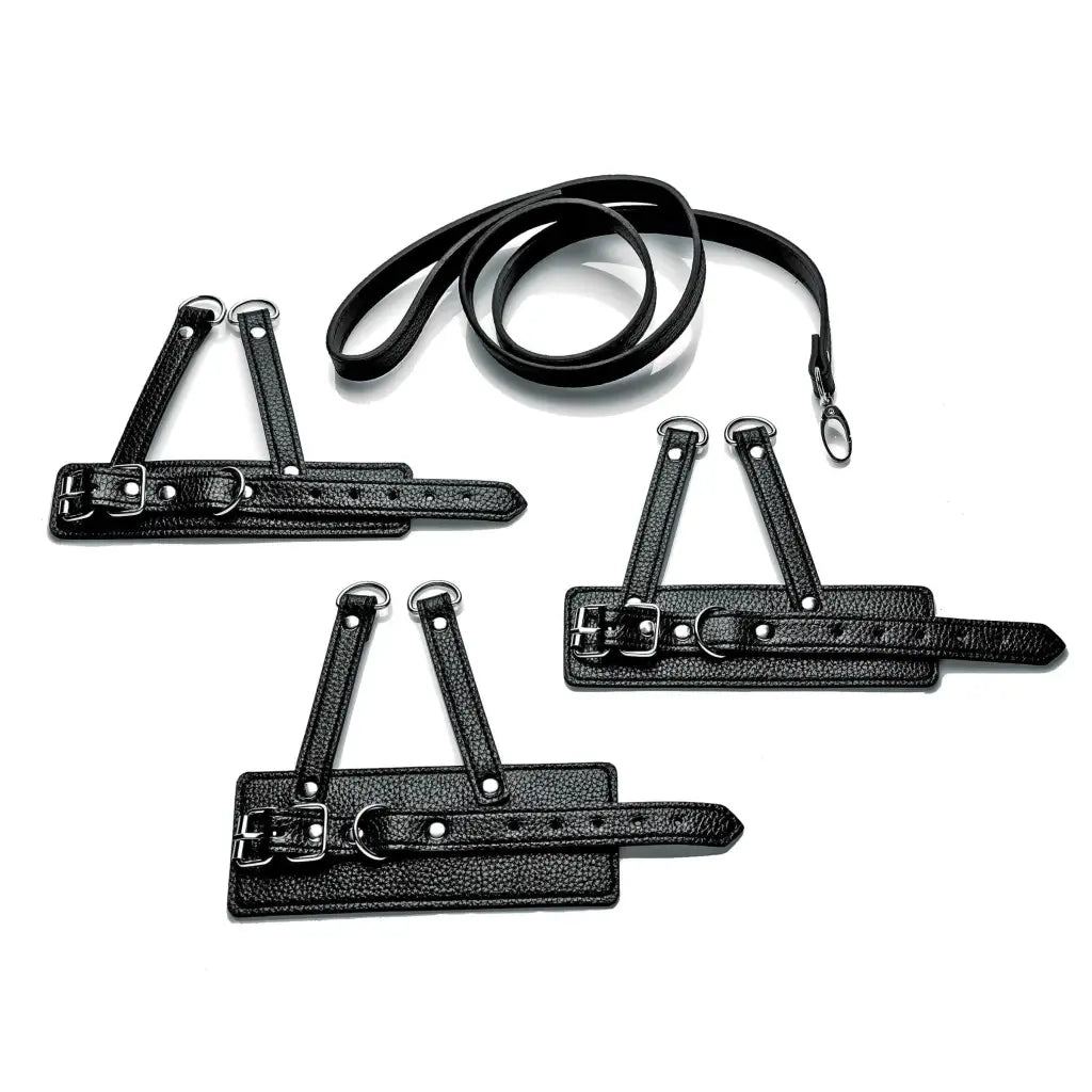 Black leather dog leash and collar set from Mistress by Isabella Sinclaire - 3 Piece Ball Stretcher