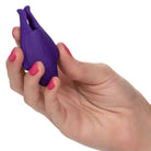 CalExotics Vibrator Purple Nipple Play Rechargeable Nipplettes at the Haus of Shag