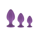 Nobu Rainbow Silicone Plug Set - Purple - Butt Plug