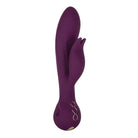 CalExotics Vibrator Obsession Desire - Purple at the Haus of Shag