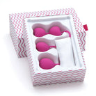 OhMiBod LoveLife Flex Kegel Exerciser 3-Piece Set Pink - Kegel Balls