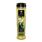 Organica Massage Oil Green Tea - Health & Beauty