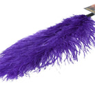 Ostrich Feather Purple - Tickler