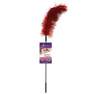 Ostrich Feather Red - Red - Tickler