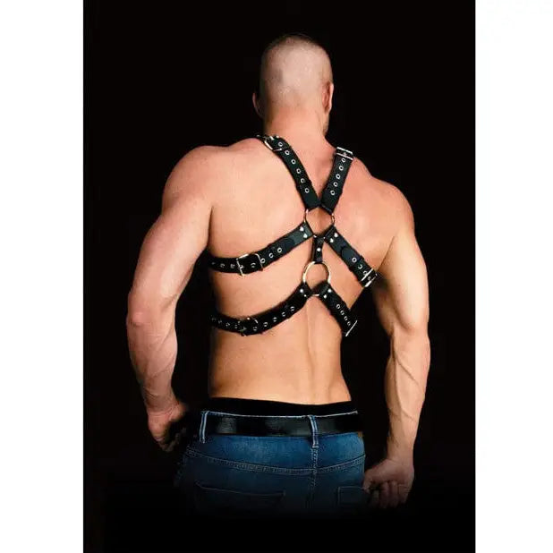 Bonded leather masterpiece body harness worn on a muscular shirtless torso