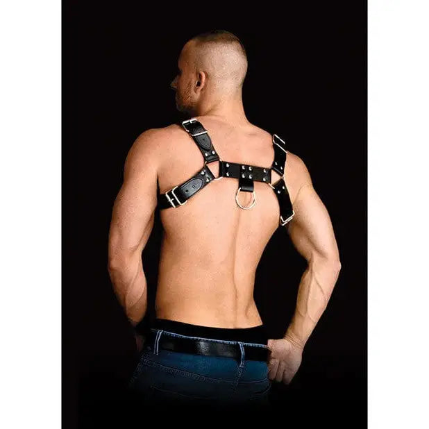 Muscular shirtless torso wearing Ouch! Costas Solid Structure 2 Body Harness