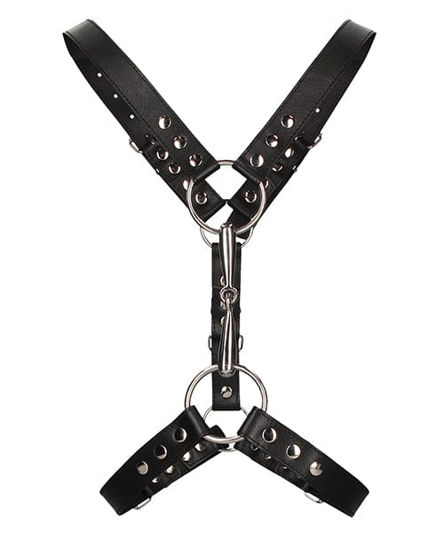 Ouch! Harness One Size Fits Most / Black Ouch! Uomo Premium Men's Harness With Metal Bit at the Haus of Shag