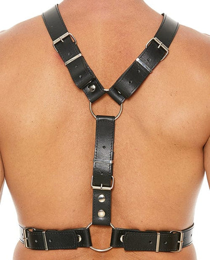 Ouch! Harness One Size Fits Most / Black Ouch! Uomo Premium Men's Harness With Metal Bit at the Haus of Shag