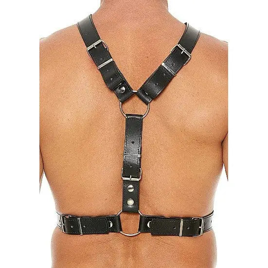 Black leather men’s harness with metal bit and buckles, worn on a person’s upper body