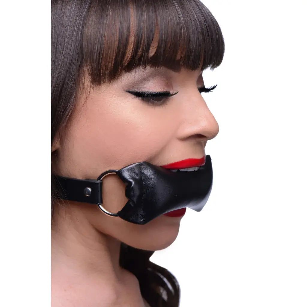 Frisky Gag Padded Pillow Mouth Gag at the Haus of Shag