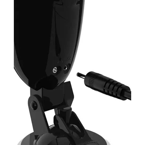 Microphone with stand atop PDX Elite Dirty Talk Starter Stroker for immersive experiences