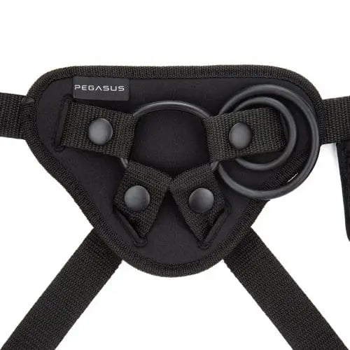 Pegasus 6’ Curved Wave Silicone Peg with harness, adjustable straps, and metal ring