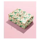 Plant Lady Naughty Wrapping Paper - Party Supplies