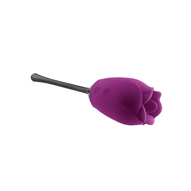 Playboy Petal Rechargeable Silicone Tongue Flicking Vibrator Wild Aster - Fantasy Vibrator