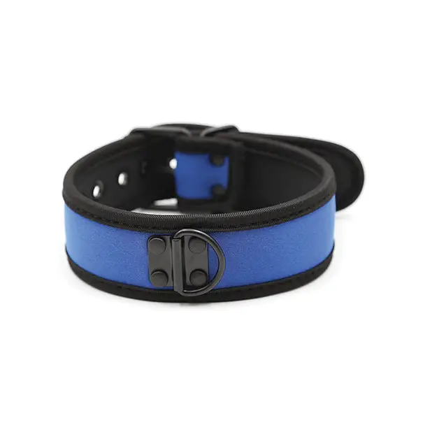 Plesur Neoprene Puppy Collar - Blue - Collar