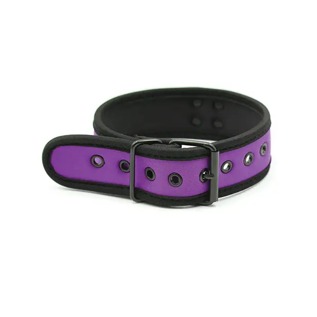 Plesur Neoprene Puppy Collar - Collar