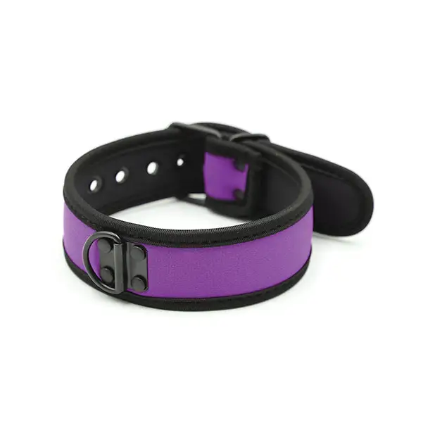 Plesur Neoprene Puppy Collar - Collar