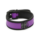 Plesur Neoprene Puppy Collar - Purple - Collar