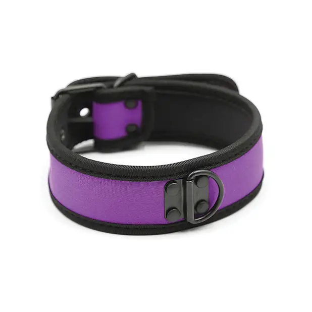 Plesur Neoprene Puppy Collar - Purple - Collar