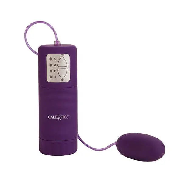 CalExotics Stimulators Pocket Exotics Bullet Waterproof - Purple at the Haus of Shag